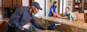 Best Pest Exclusion Services  in Boise City, OK